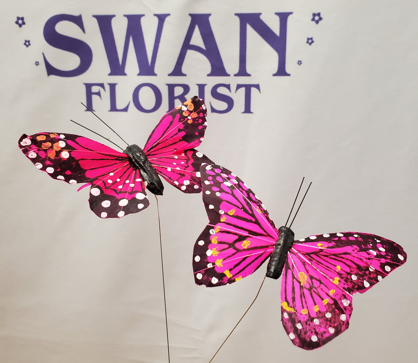 Butterfly (2) – SWAN FLORAL & GIFT SHOP INC, Erlanger KY