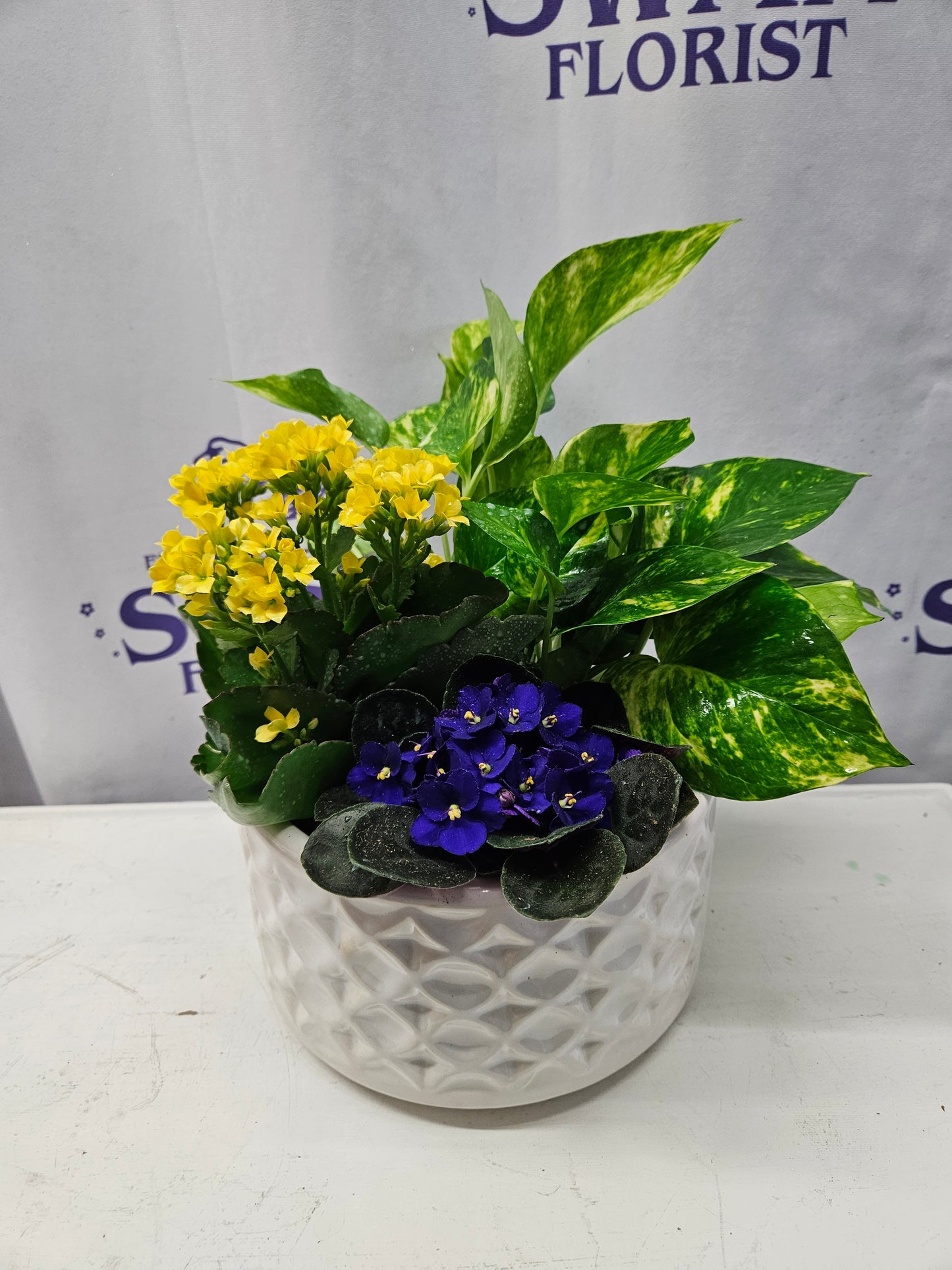 Blooming Garden in Ceramic – SWAN FLORAL & GIFT SHOP INC, Erlanger KY