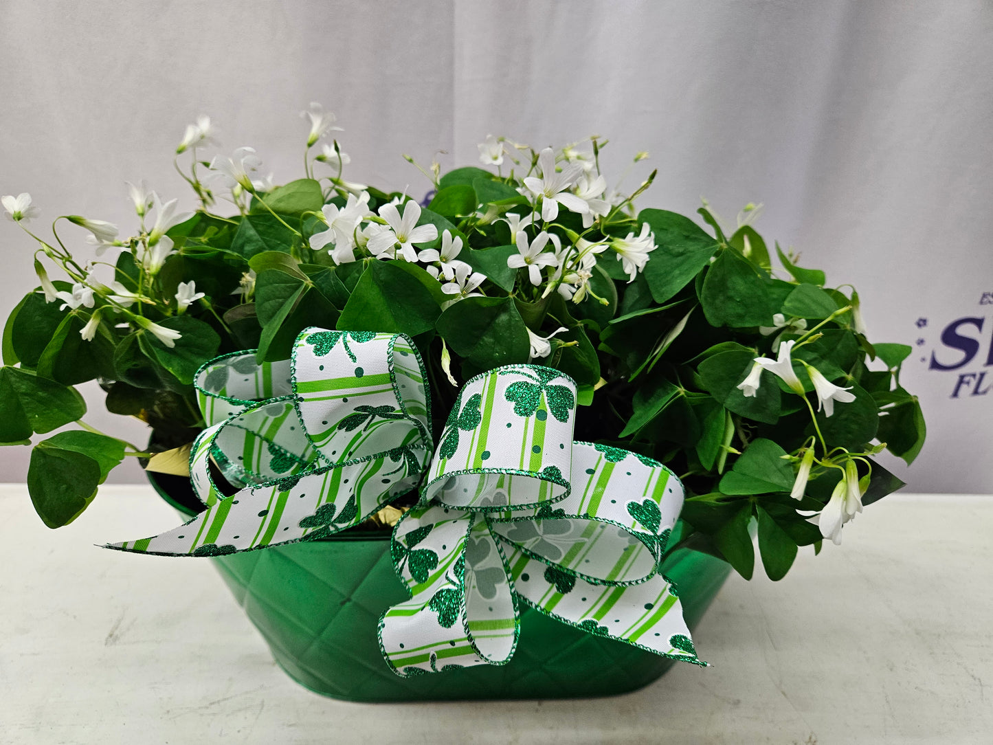 Pot of Gold Shamrocks