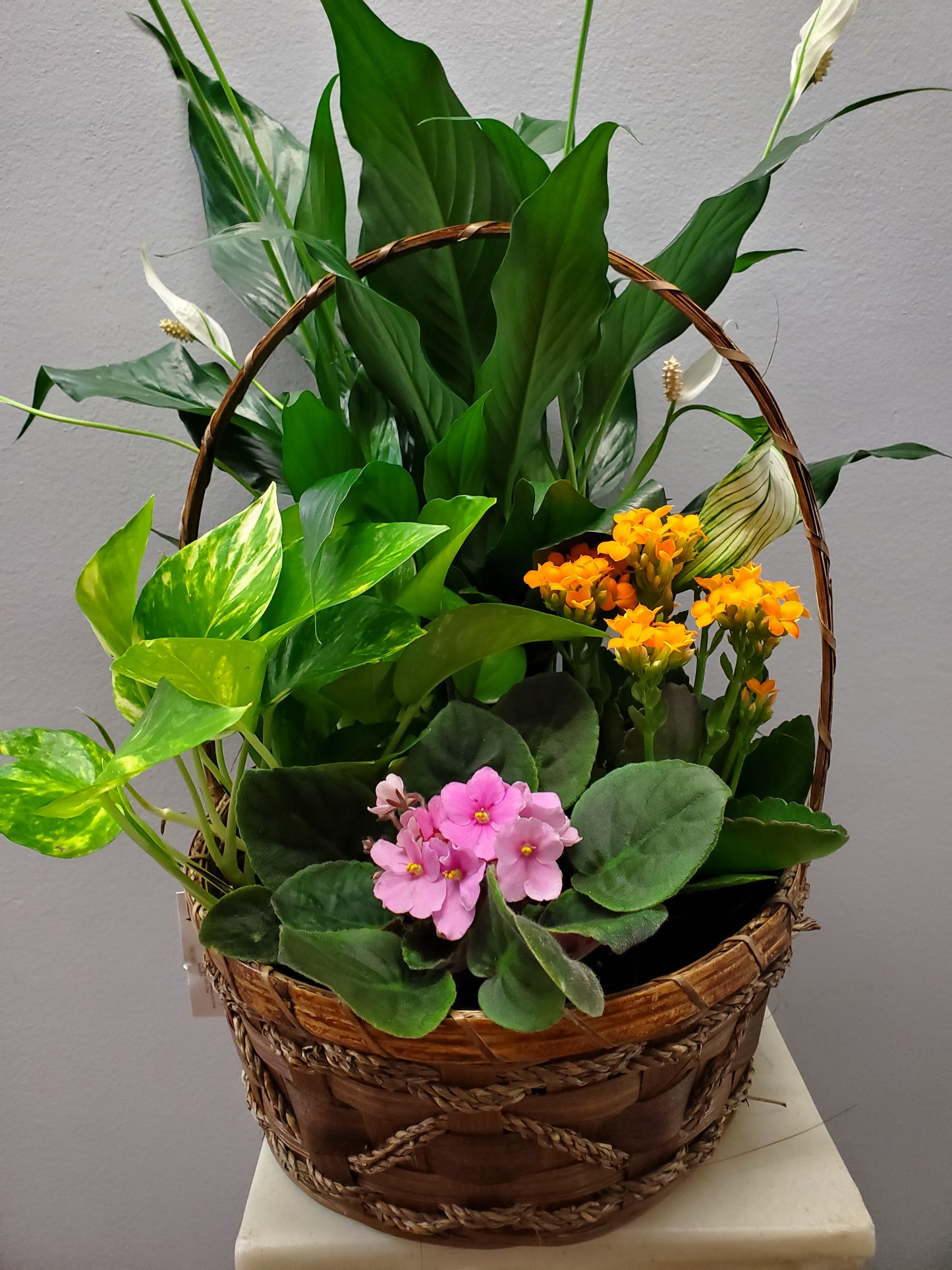 Blooming Garden Basket – SWAN FLORAL & GIFT SHOP INC, Erlanger KY