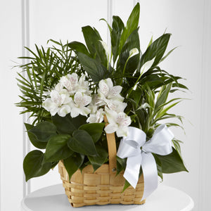 Peace and Serenity Dishgarden – SWAN FLORAL & GIFT SHOP INC, Erlanger KY