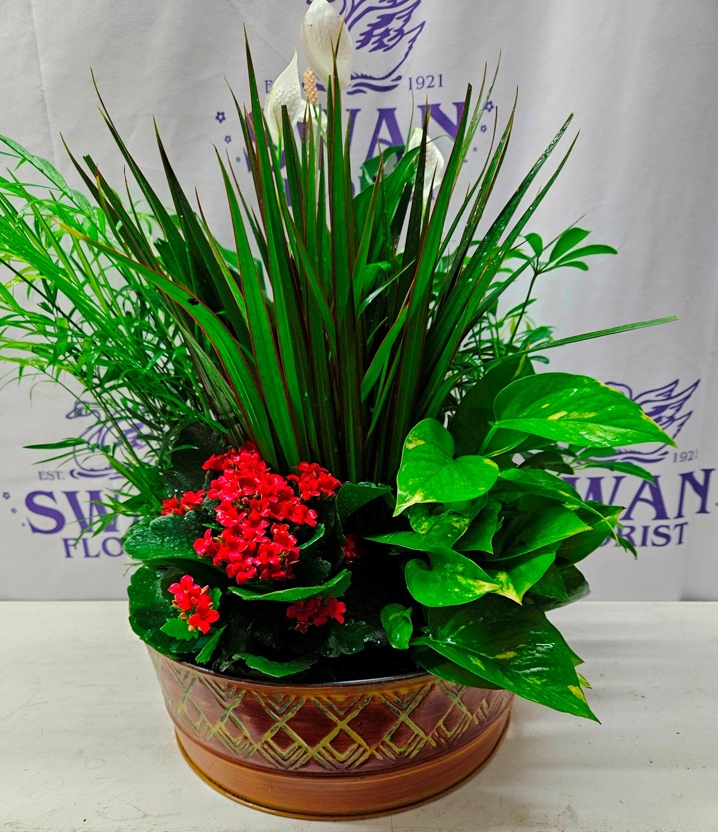 Southern European Dish Garden