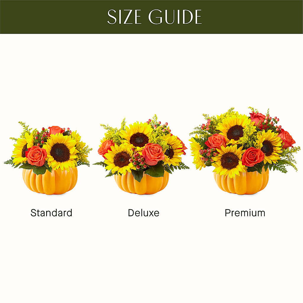 Pick of the Patch Pumpkin Bouquet – SWAN FLORAL & GIFT SHOP INC, Erlanger KY