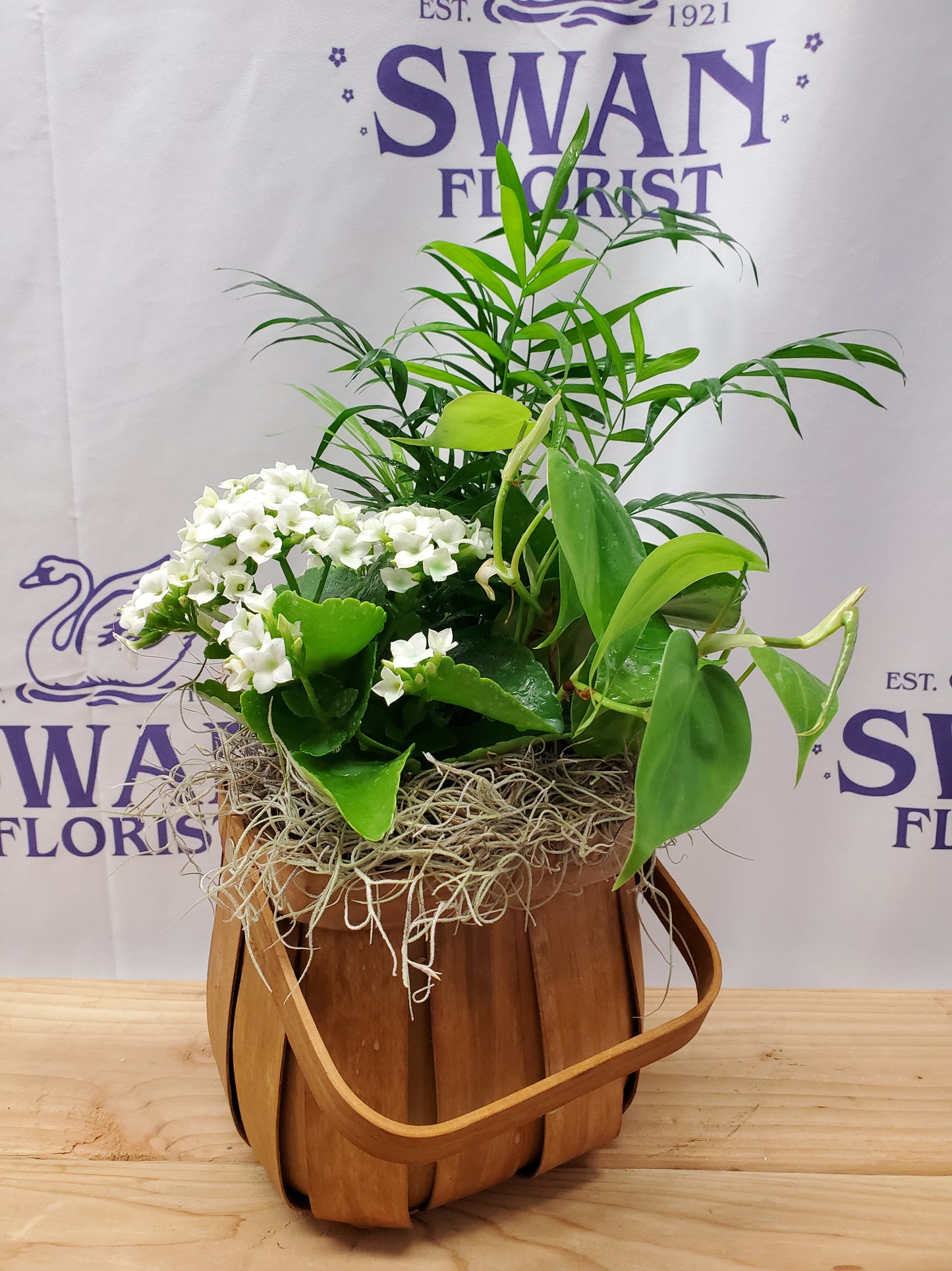Serene Basket Planter