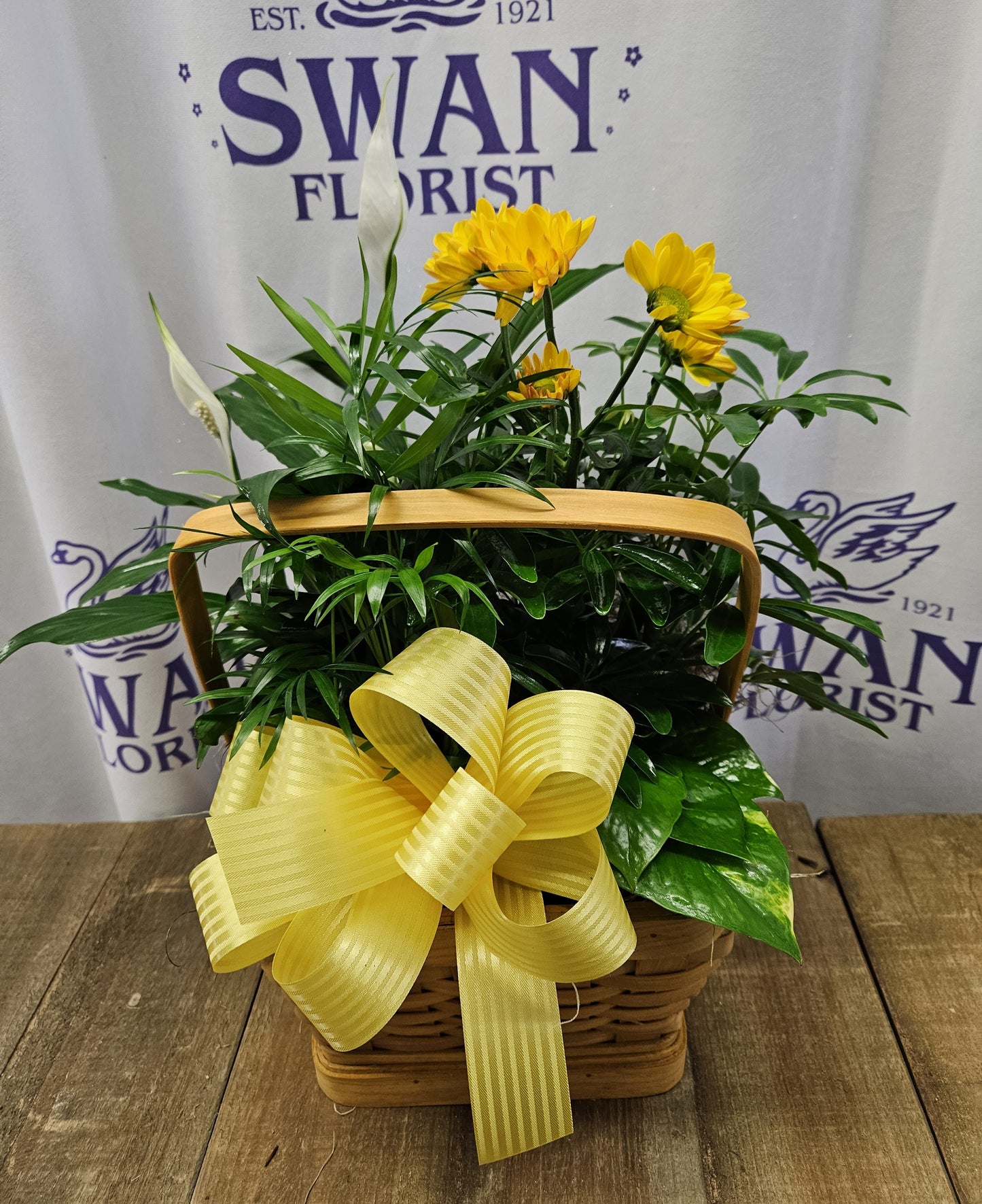 Loving Light Petite Dishgarden – SWAN FLORAL & GIFT SHOP INC, Erlanger KY