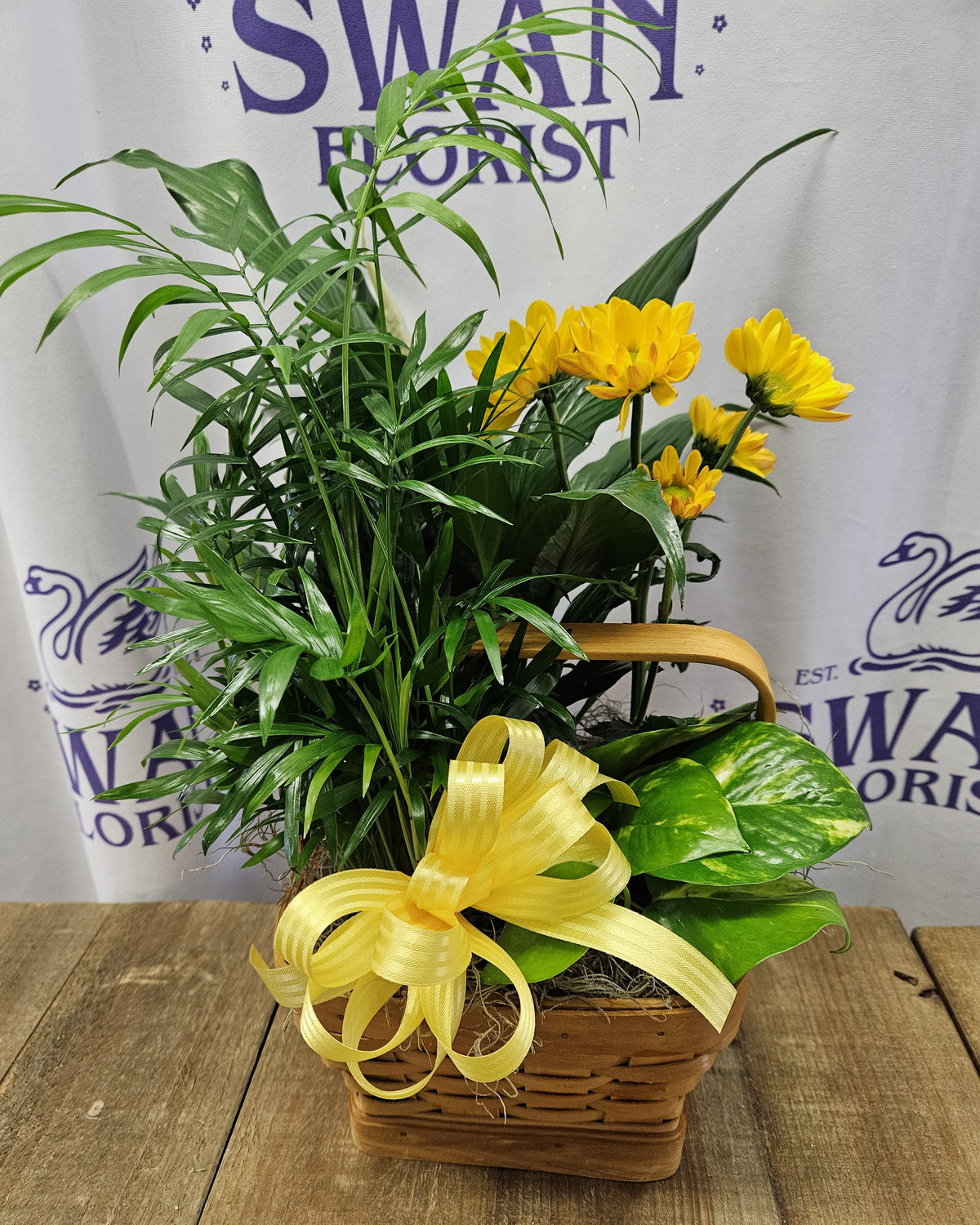 Loving Light Petite Dishgarden – SWAN FLORAL & GIFT SHOP INC, Erlanger KY