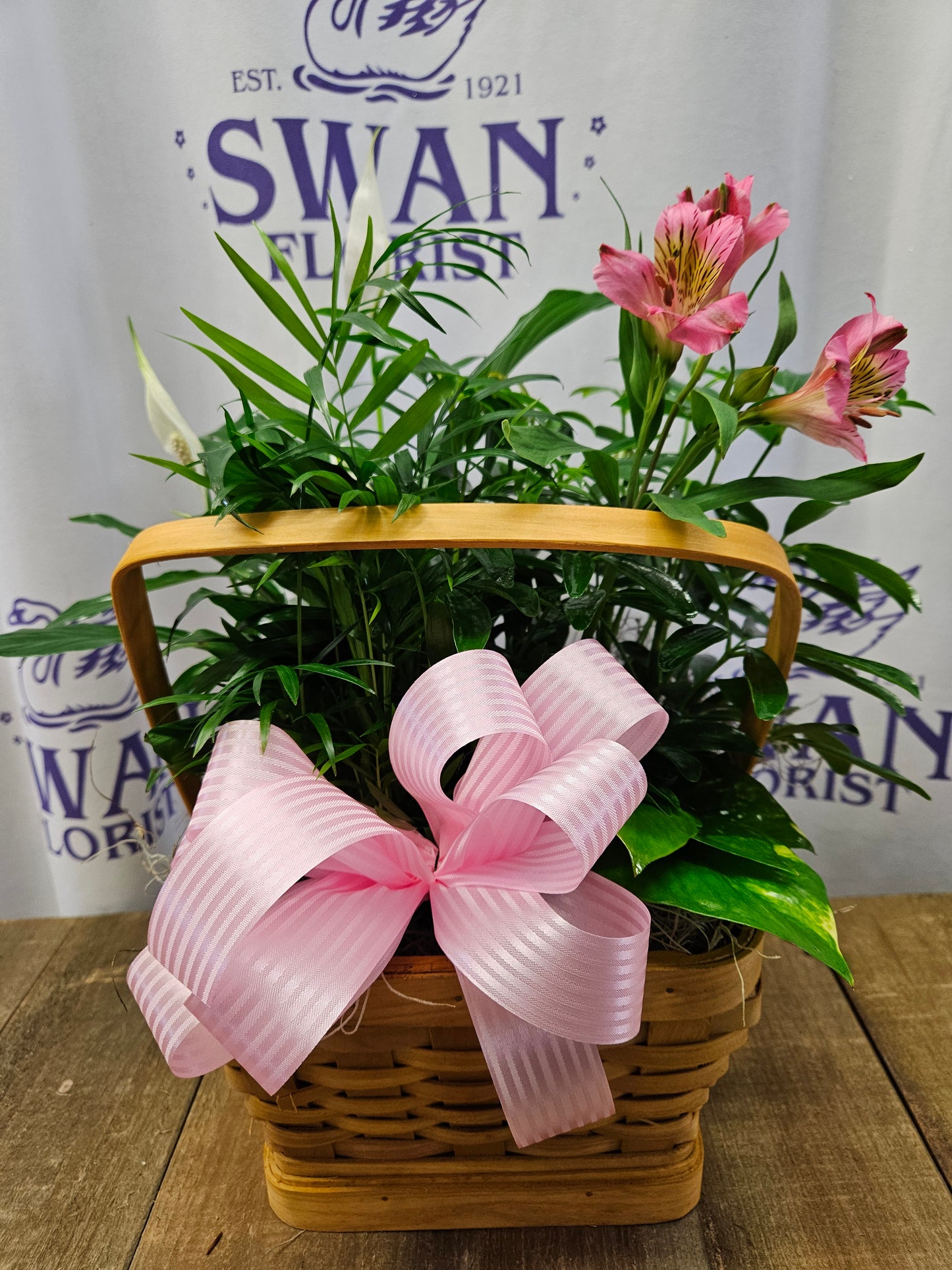 Living Spirit Petite Dishgarden – SWAN FLORAL & GIFT SHOP INC, Erlanger KY