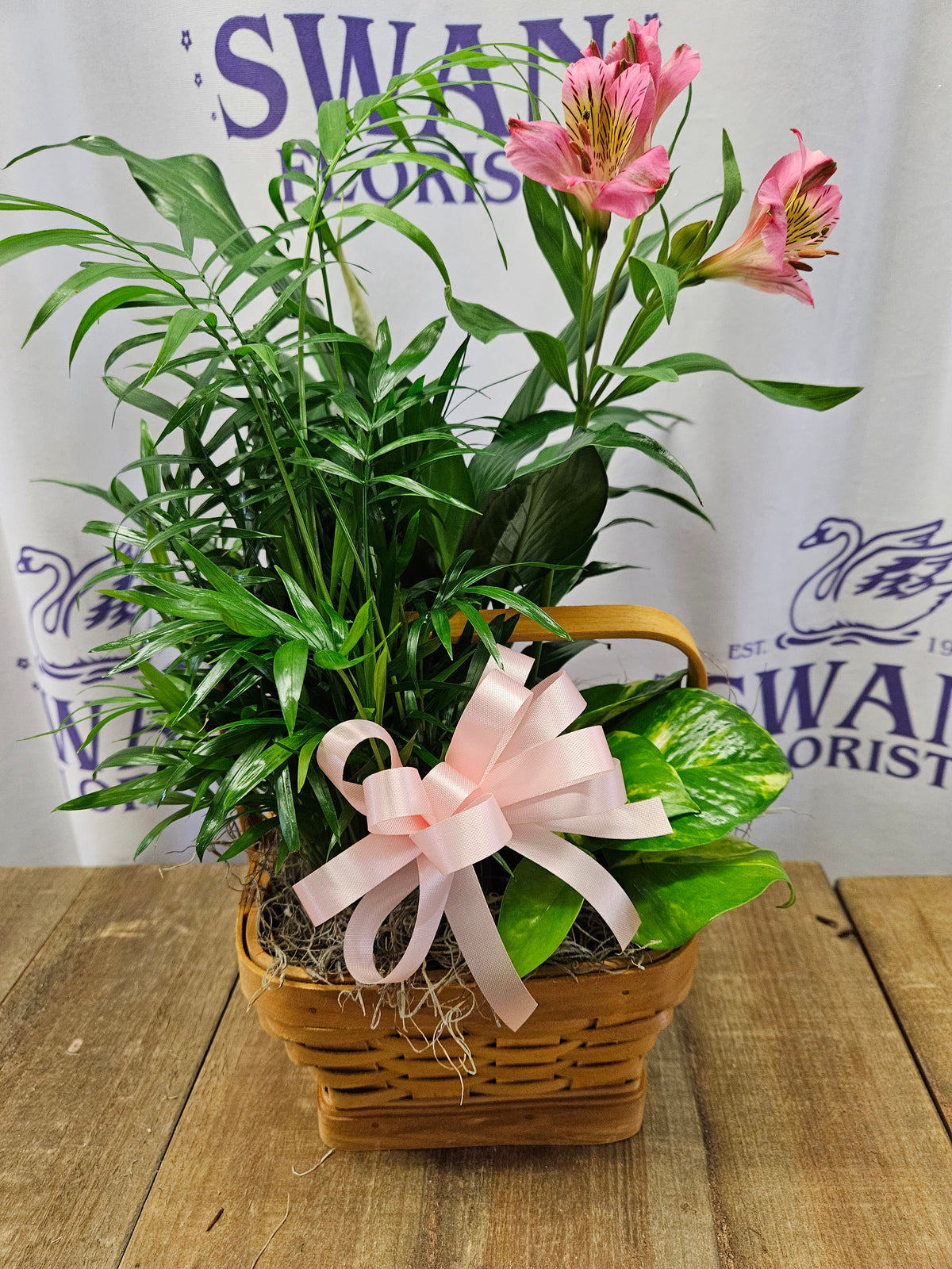 Living Spirit Petite Dishgarden – SWAN FLORAL & GIFT SHOP INC, Erlanger KY