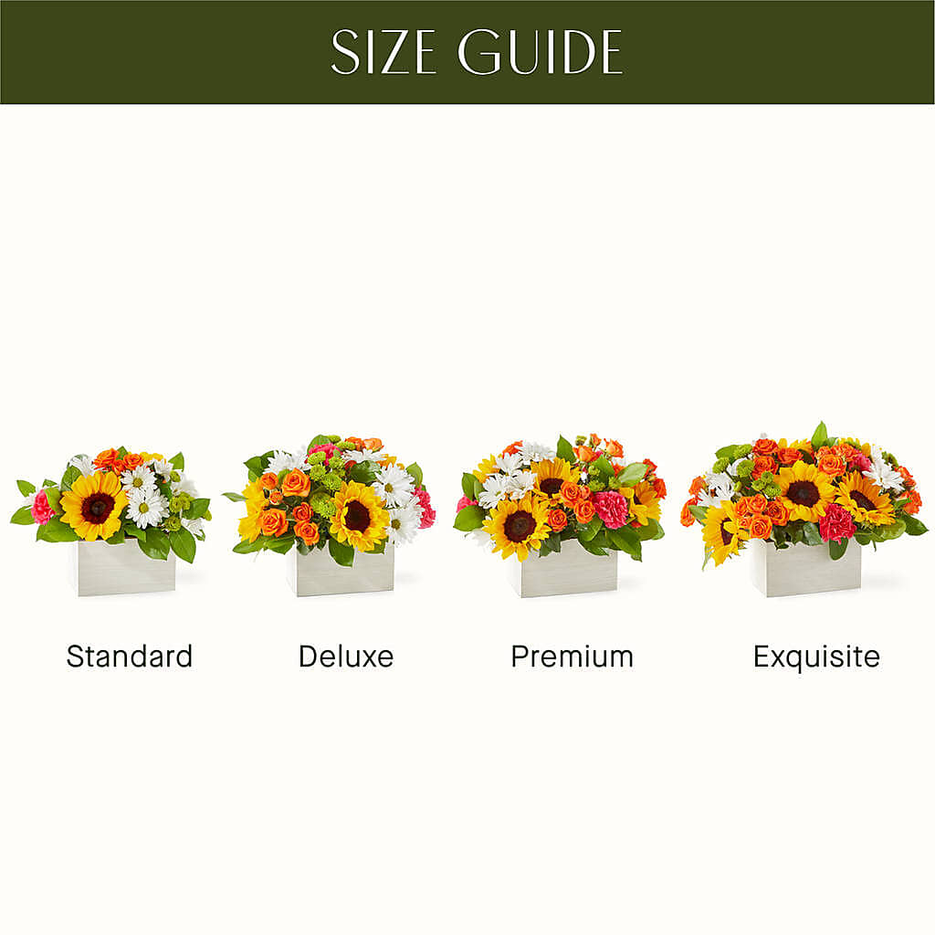 Sun-drenched Blooms Box Bouquet – SWAN FLORAL & GIFT SHOP INC, Erlanger KY