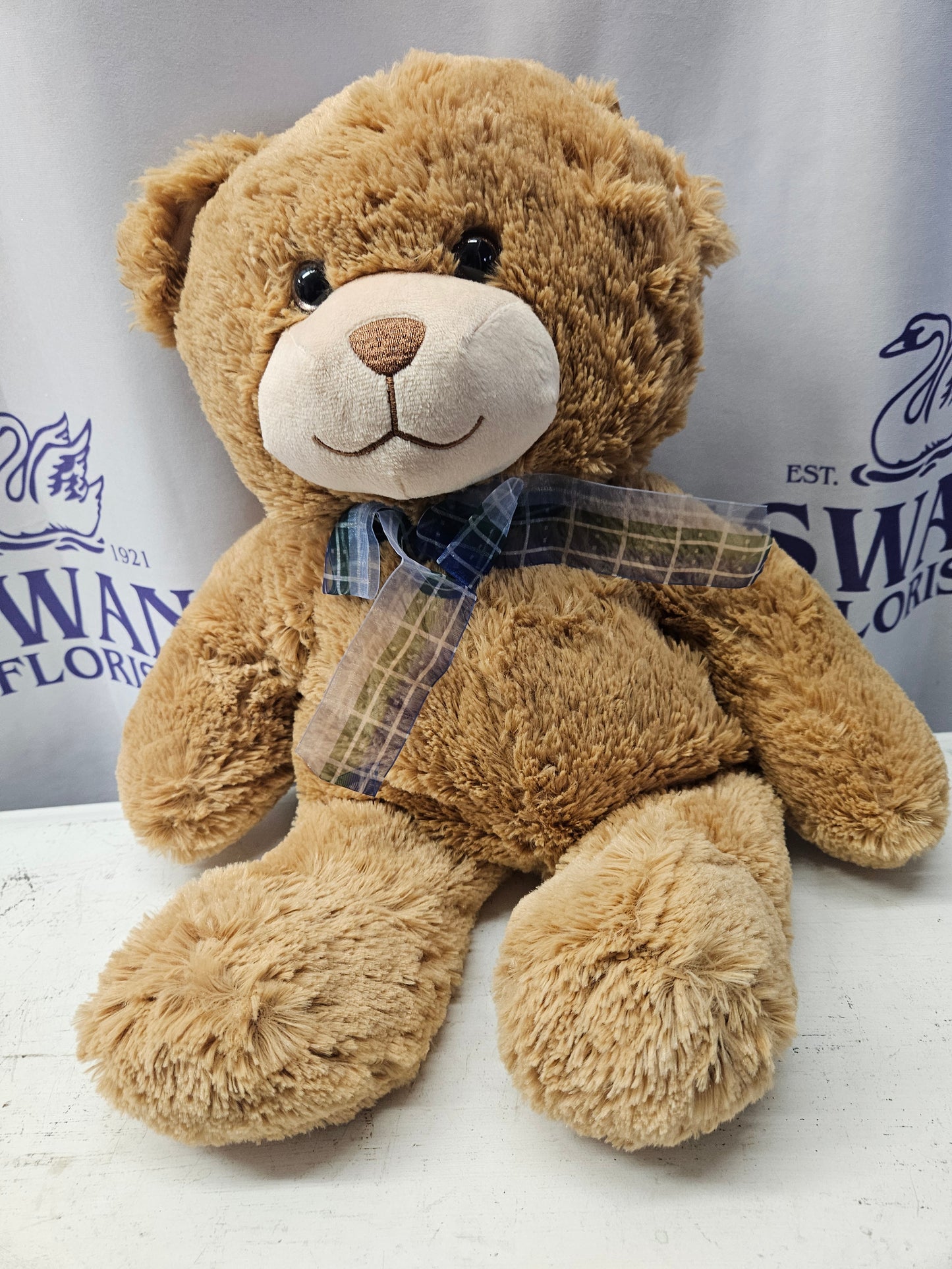 Plush Bear