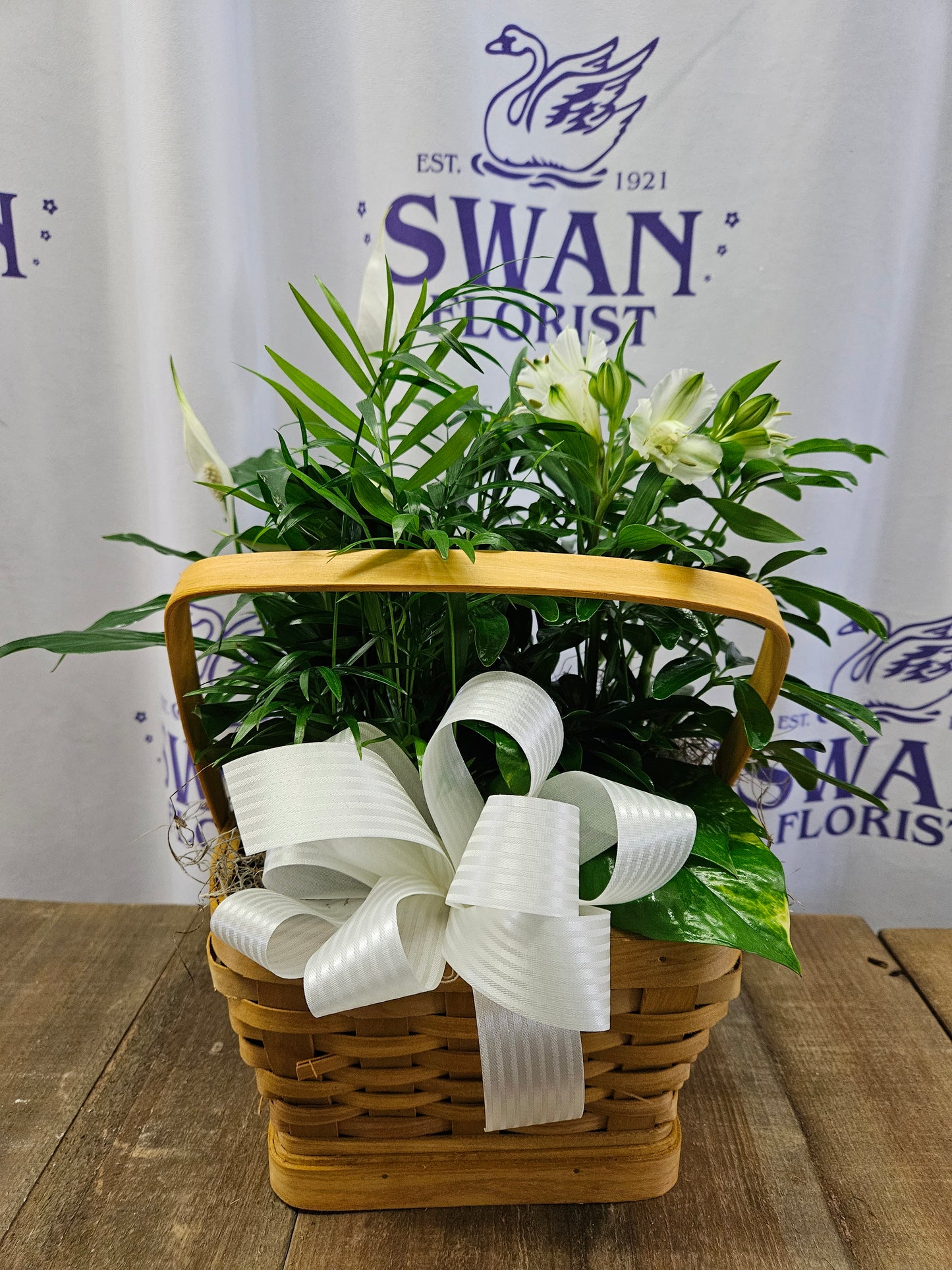 Peace and Serenity Petite Dishgarden – SWAN FLORAL & GIFT SHOP INC, Erlanger KY