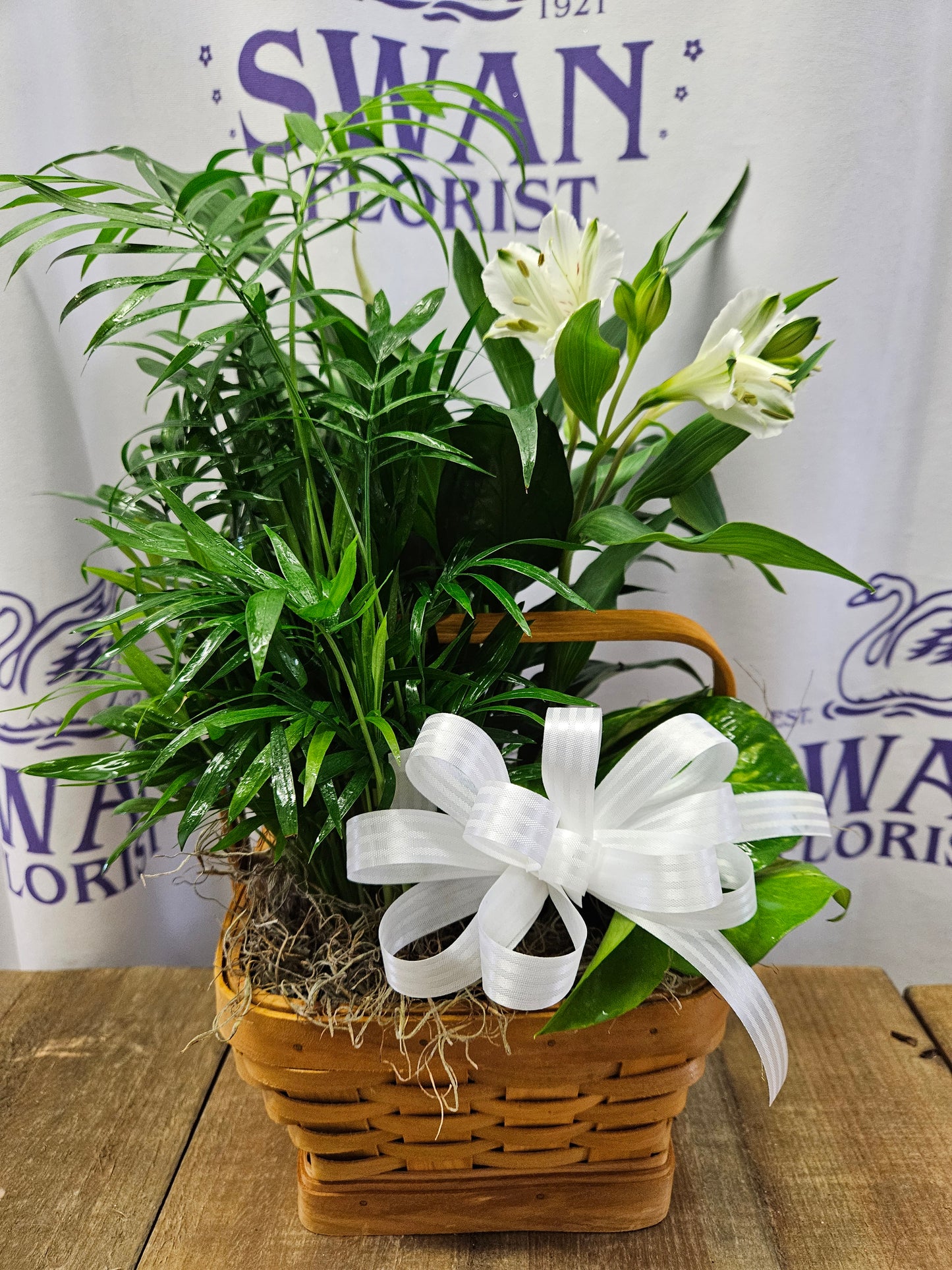Peace and Serenity Petite Dishgarden – SWAN FLORAL & GIFT SHOP INC, Erlanger KY