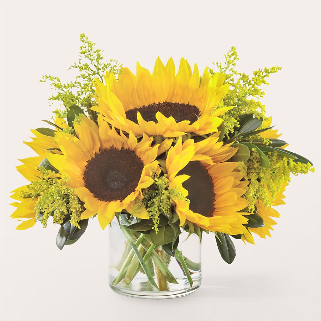Beaming Sunflower Bouquet – SWAN FLORAL & GIFT SHOP INC, Erlanger KY