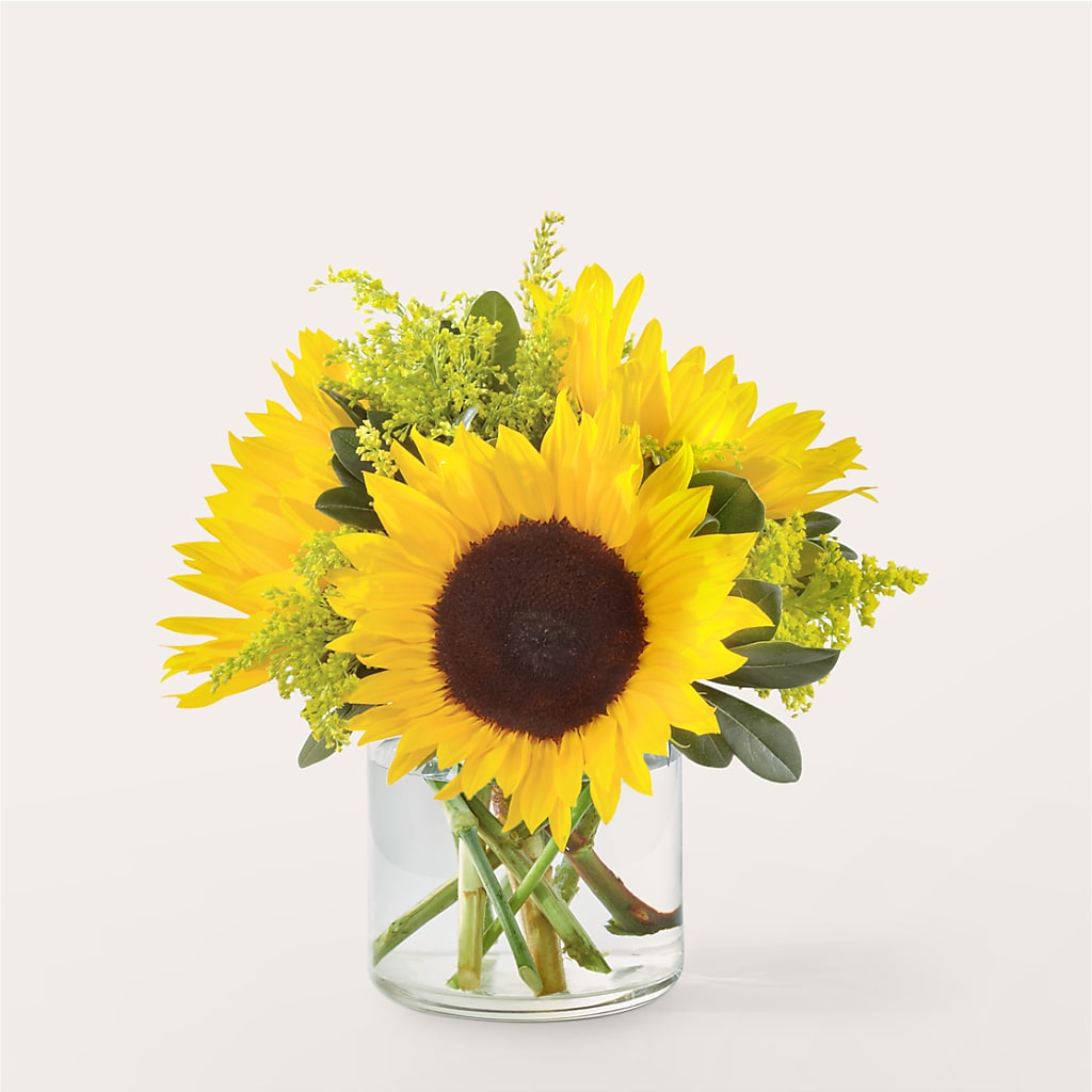 Beaming Sunflower Bouquet – SWAN FLORAL & GIFT SHOP INC, Erlanger KY