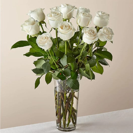 Long Stem White Rose Bouquet – SWAN FLORAL & GIFT SHOP INC, Erlanger KY