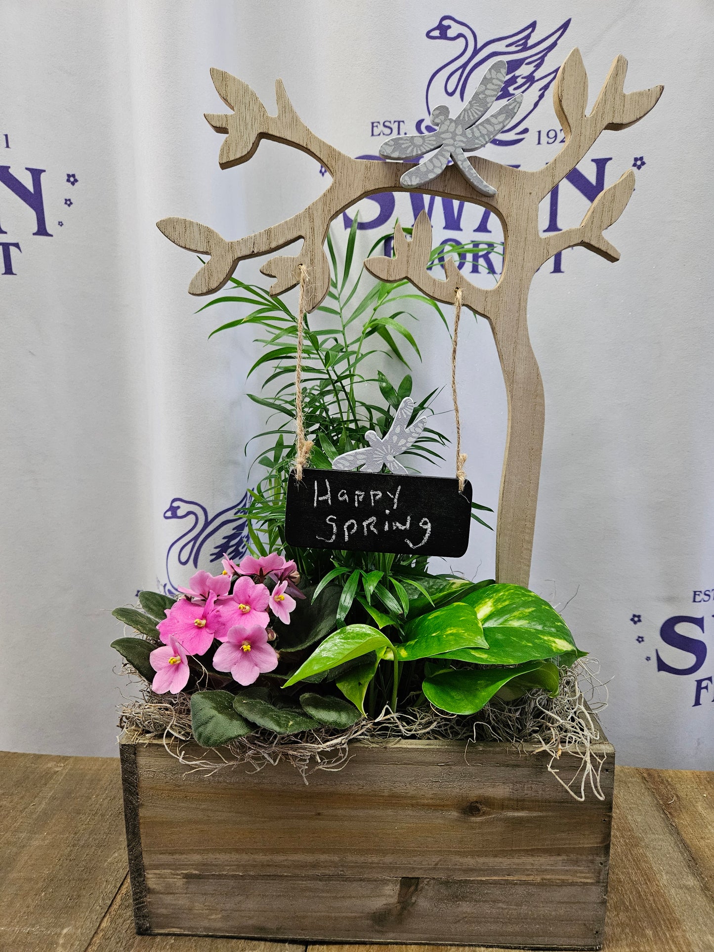 Happy Spring dishgarden