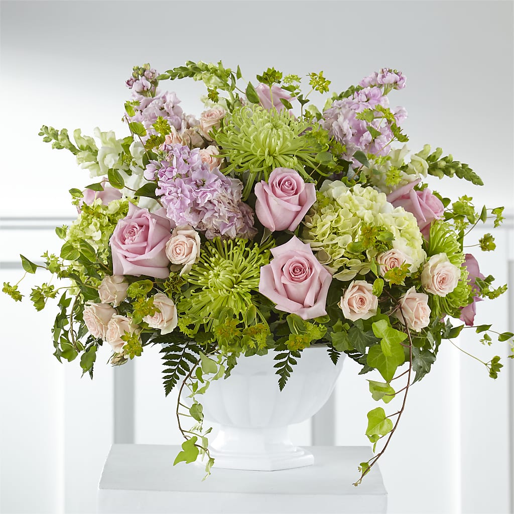 Radiant Embrace Arrangement – SWAN FLORAL & GIFT SHOP INC, Erlanger KY