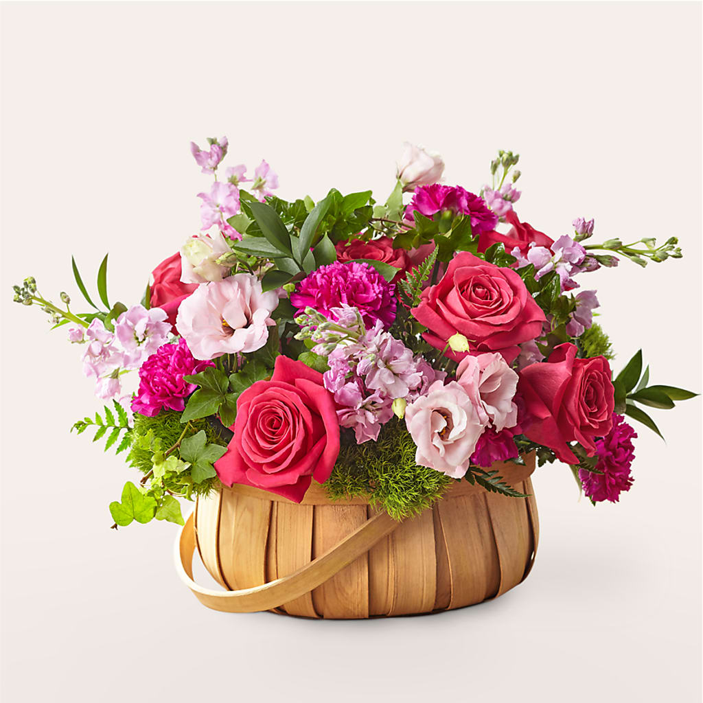 Radiance in Bloom Basket – SWAN FLORAL & GIFT SHOP INC, Erlanger KY