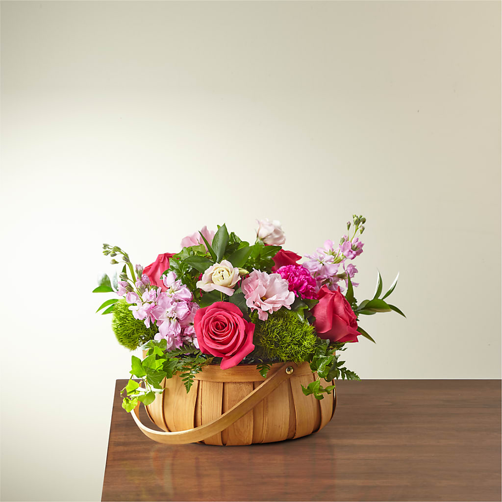 Radiance in Bloom Basket – SWAN FLORAL & GIFT SHOP INC, Erlanger KY