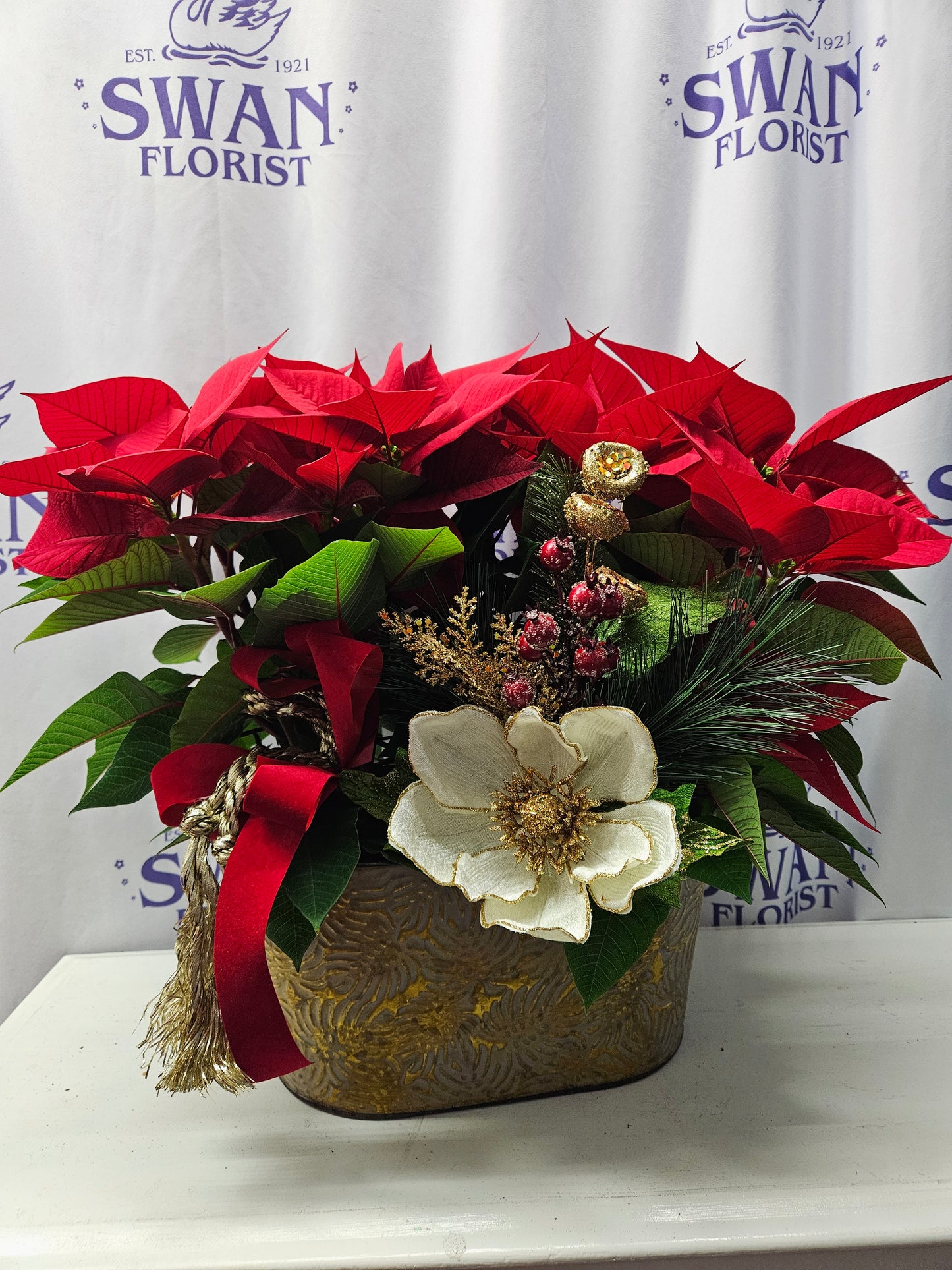 Southern Charm Red Poinsettia