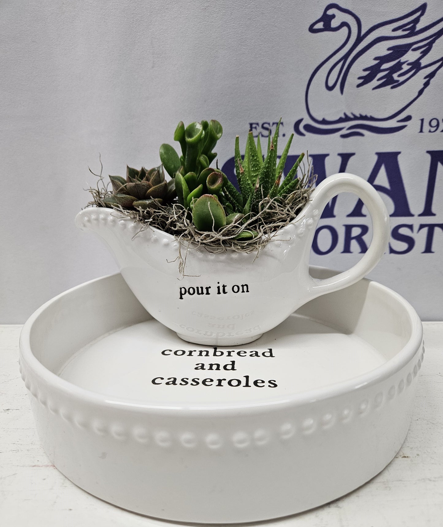 Southern Charm Succulent Garden