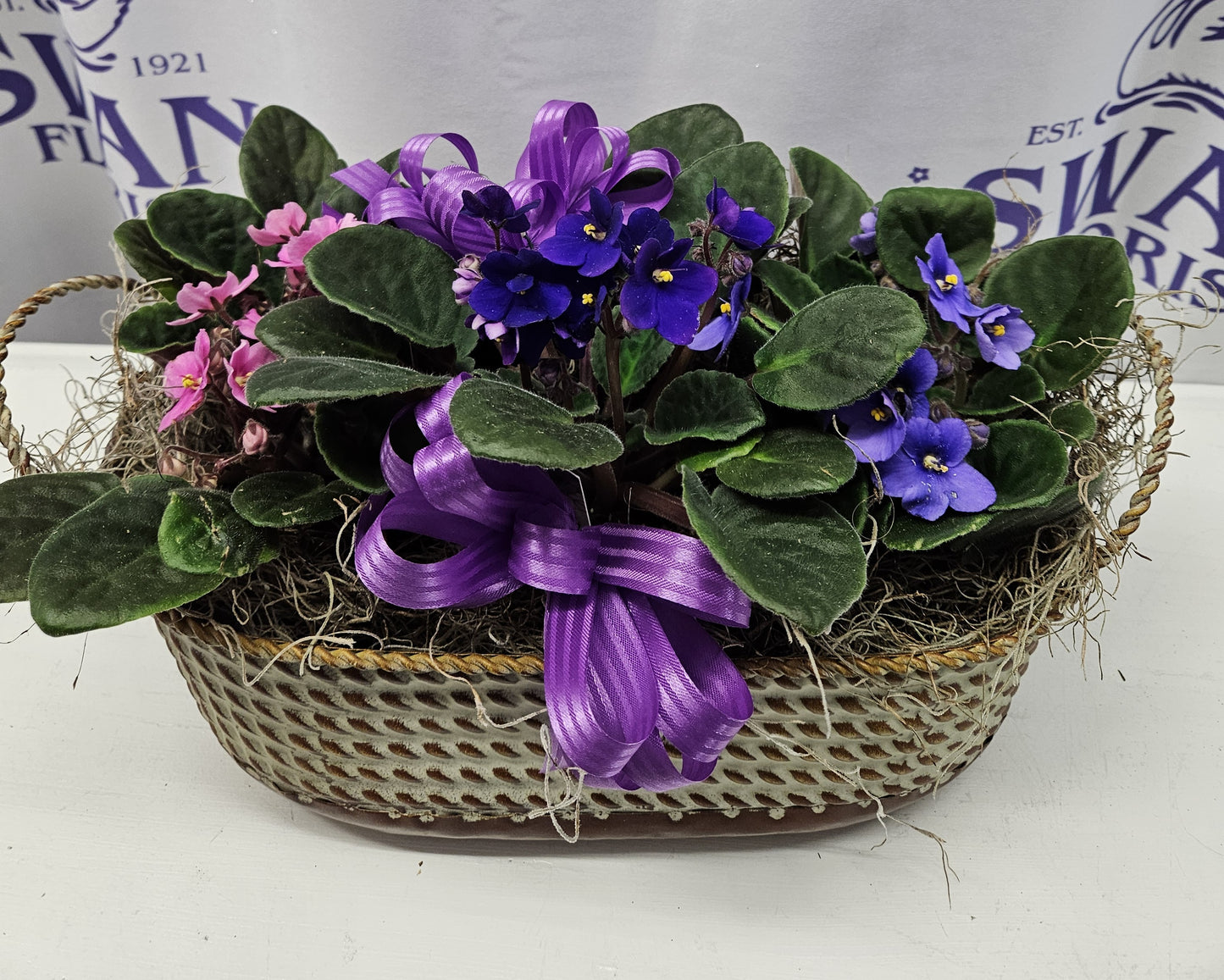 Sweet Violets