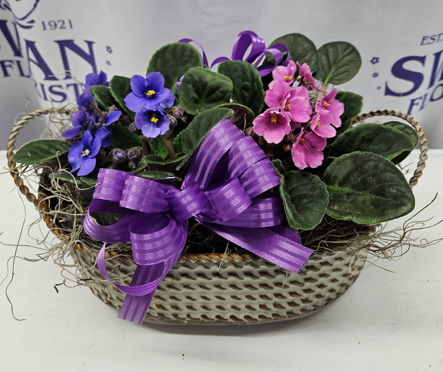 Sweet Violets – SWAN FLORAL & GIFT SHOP INC, Erlanger KY