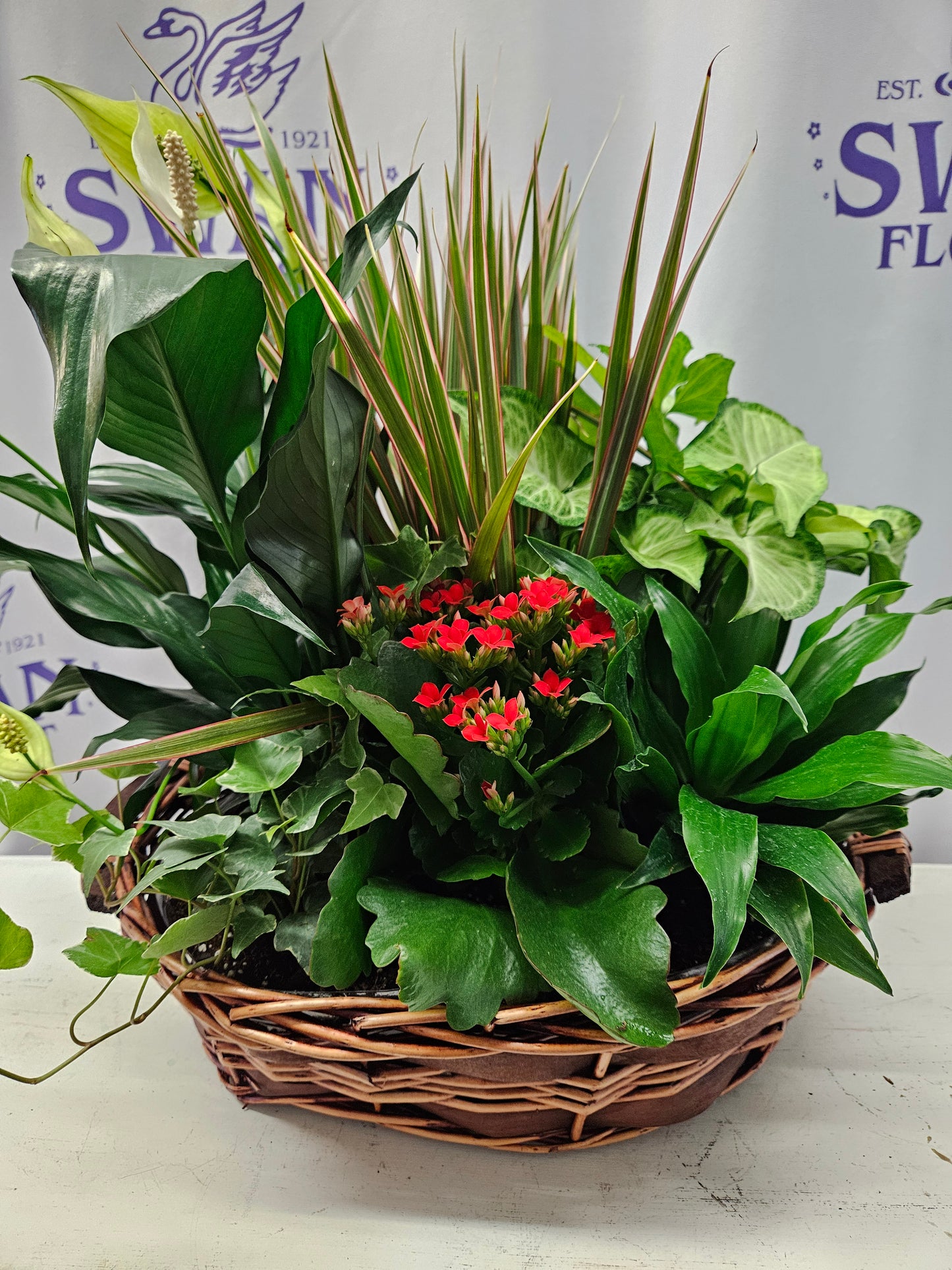 Plants Galore Basket – SWAN FLORAL & GIFT SHOP INC, Erlanger KY