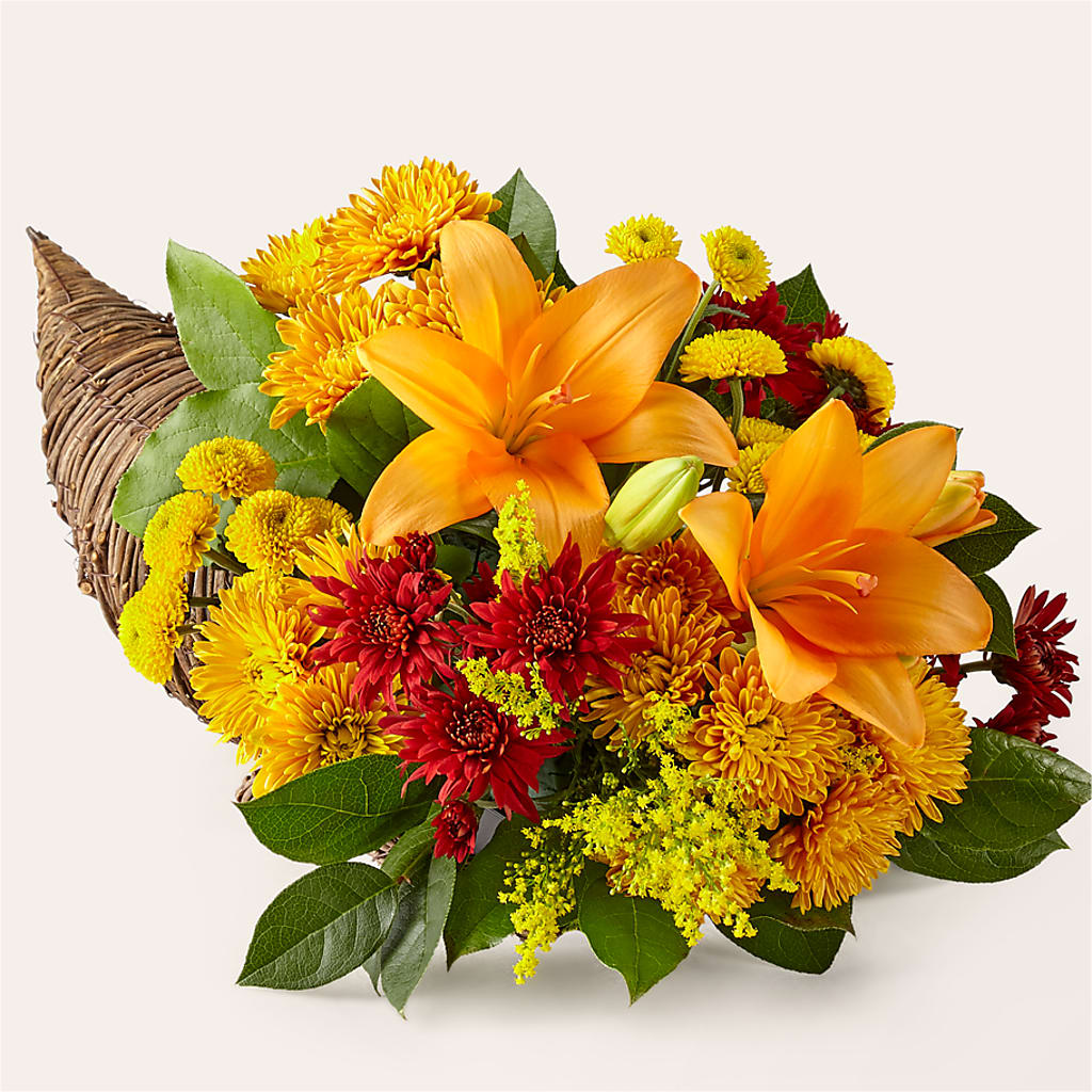 Feast of Color Cornucopia – SWAN FLORAL & GIFT SHOP INC, Erlanger KY