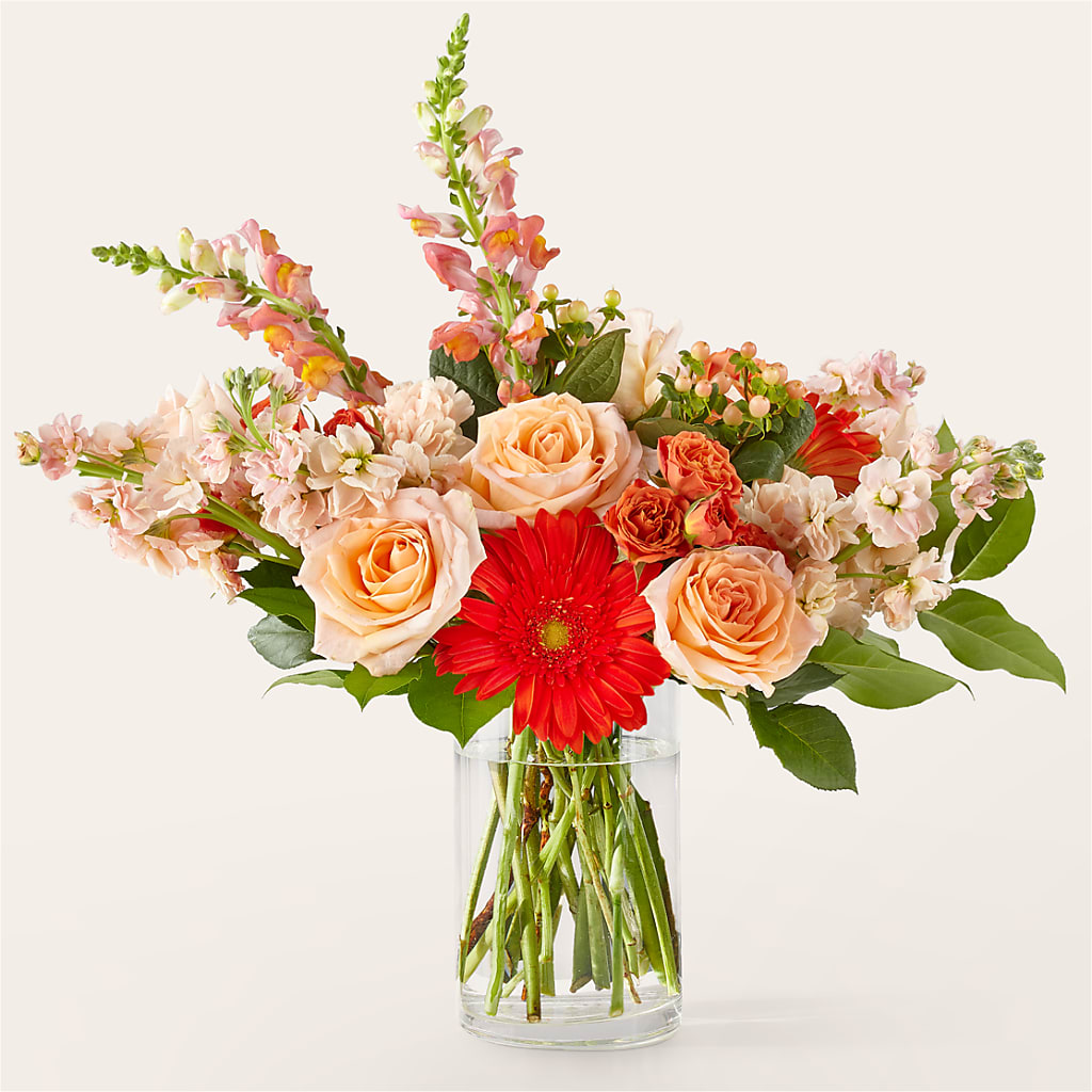 Paloma Please Bouquet – SWAN FLORAL & GIFT SHOP INC, Erlanger KY