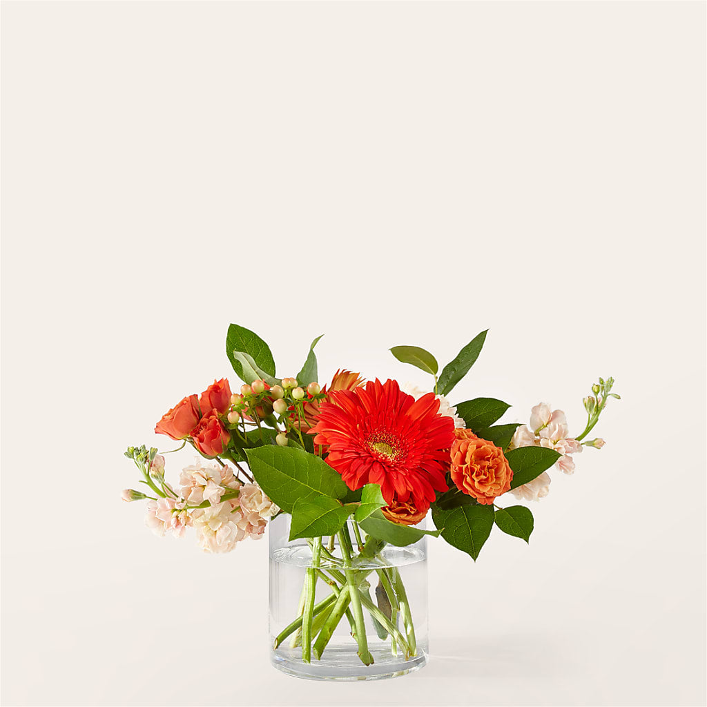 Paloma Please Bouquet – SWAN FLORAL & GIFT SHOP INC, Erlanger KY
