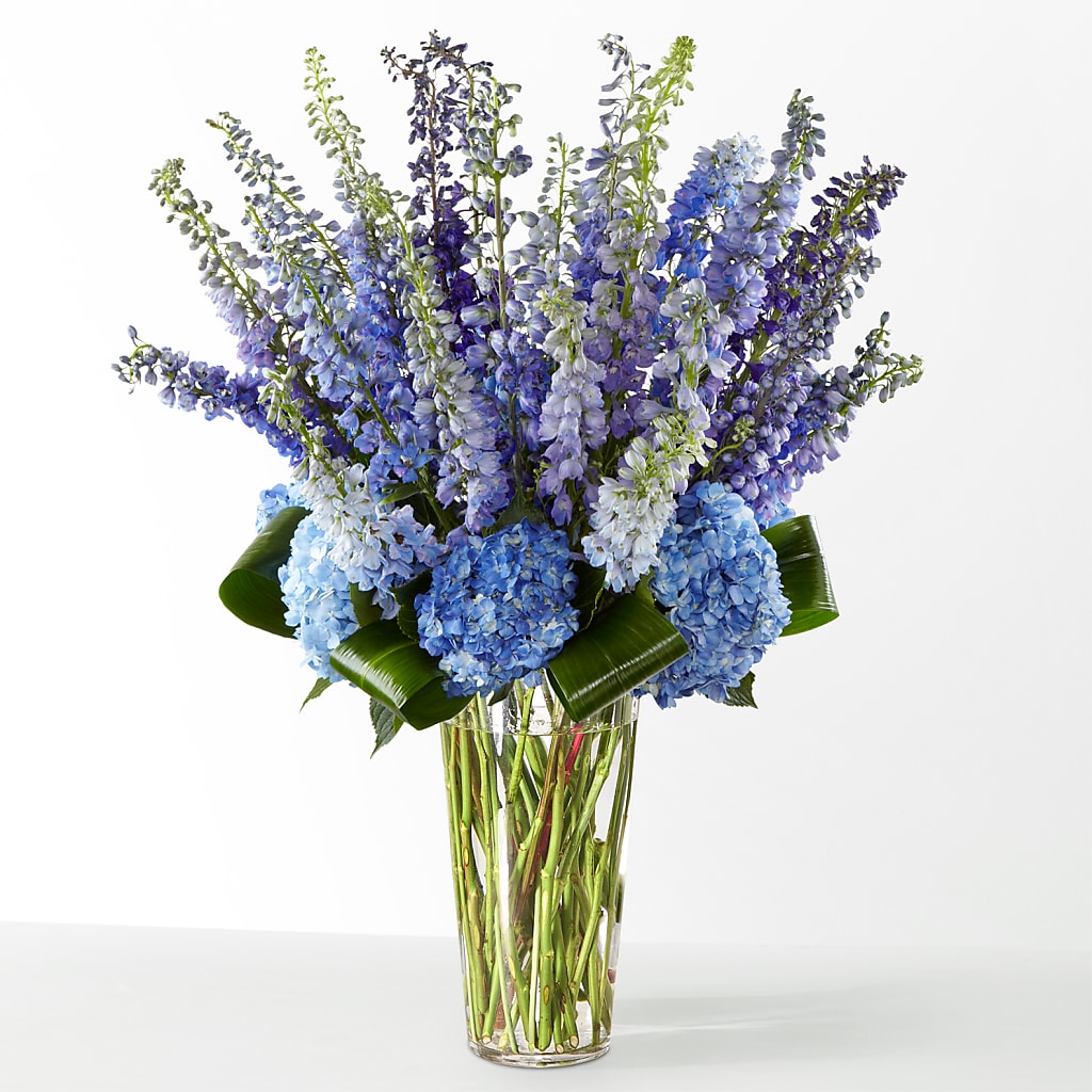 The Editorial – SWAN FLORAL & GIFT SHOP INC, Erlanger KY