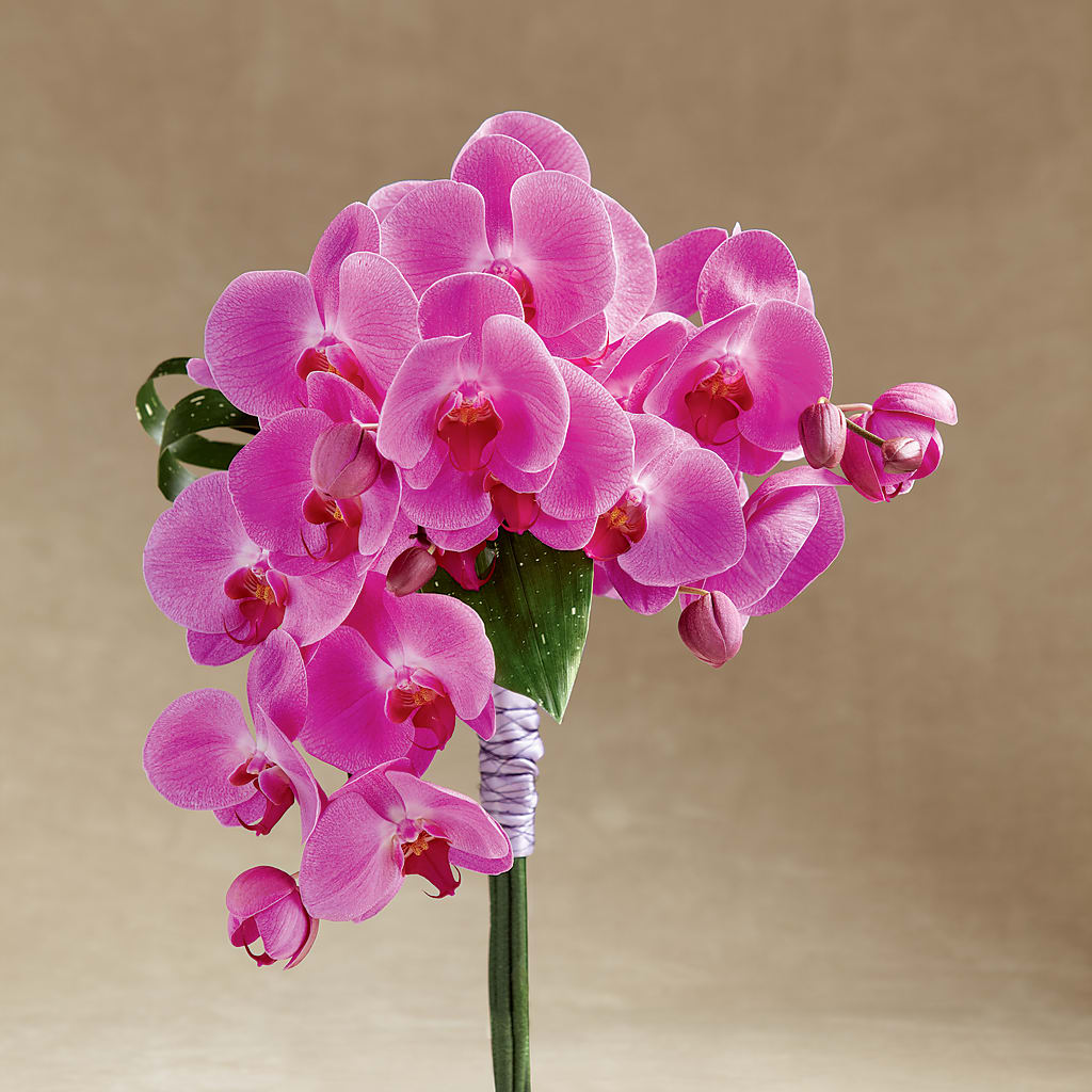 Glorious Bouquet – SWAN FLORAL & GIFT SHOP INC, Erlanger KY