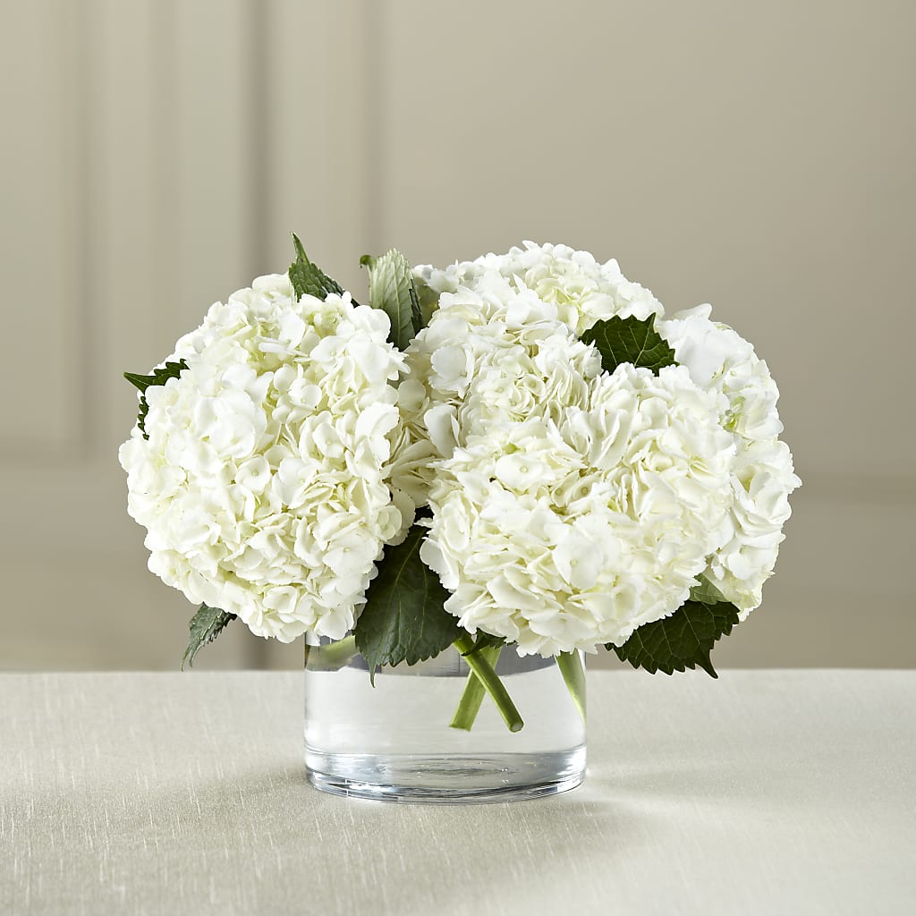 White Hydrangea Bouquet – SWAN FLORAL & GIFT SHOP INC, Erlanger KY