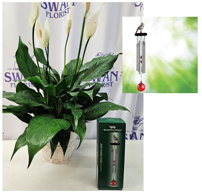 Crystal Cardinal Windchime & Plant Bundle