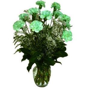 ST PATRICKS CARNATIONS IN VASE
