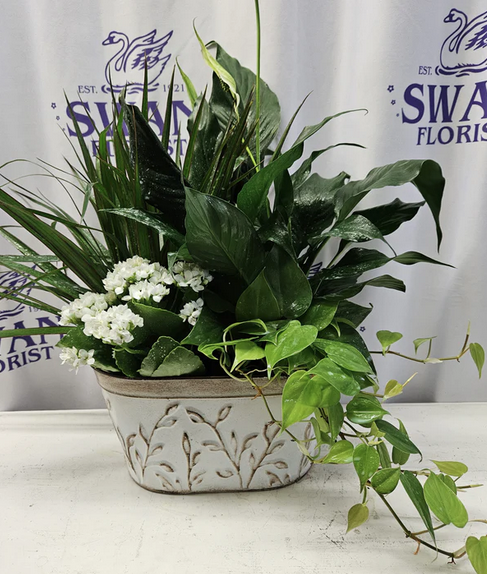 Funeral Flower Etiquette Guide
