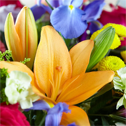 Bold & Bright – A Florist Original – SWAN FLORAL & GIFT SHOP INC, Erlanger KY