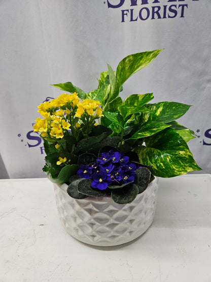 Blooming Garden in Ceramic – SWAN FLORAL & GIFT SHOP INC, Erlanger KY