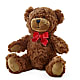 Adorable Plush Bear – SWAN FLORAL & GIFT SHOP INC, Erlanger KY