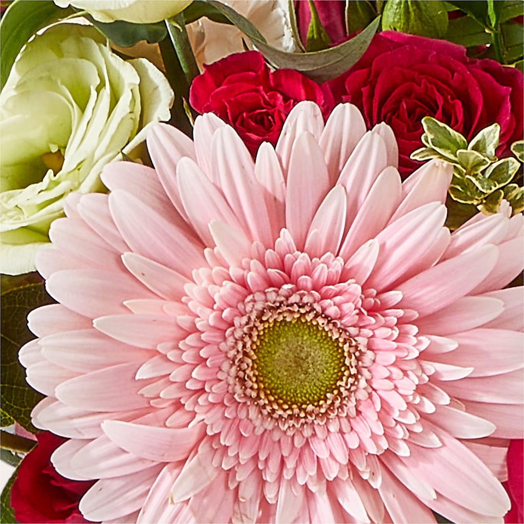 Too Cute Bouquet – SWAN FLORAL & GIFT SHOP INC, Erlanger KY
