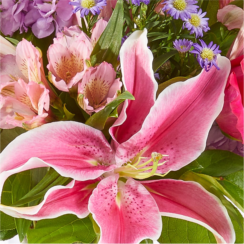 Written in the Stars Bouquet – SWAN FLORAL & GIFT SHOP INC, Erlanger KY