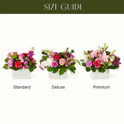 Sweetberry Box – A Florist Original – SWAN FLORAL & GIFT SHOP INC, Erlanger KY