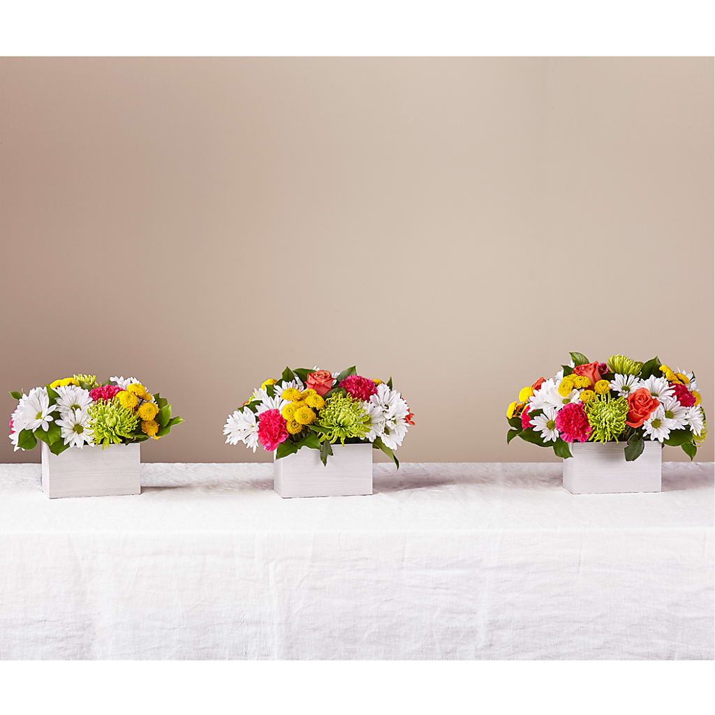 Sorbet Bouquet – SWAN FLORAL & GIFT SHOP INC, Erlanger KY
