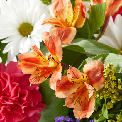 Oopsie Daisy Box Bouquet – SWAN FLORAL & GIFT SHOP INC, Erlanger KY