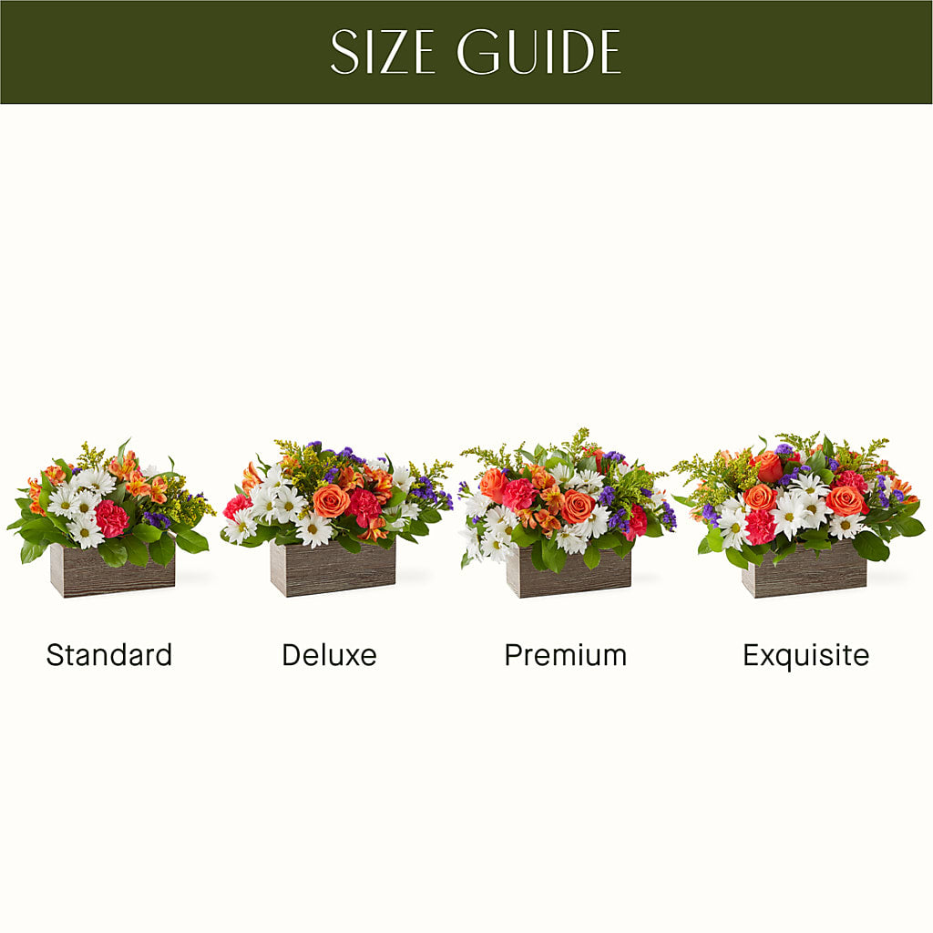 Oopsie Daisy Box Bouquet – SWAN FLORAL & GIFT SHOP INC, Erlanger KY