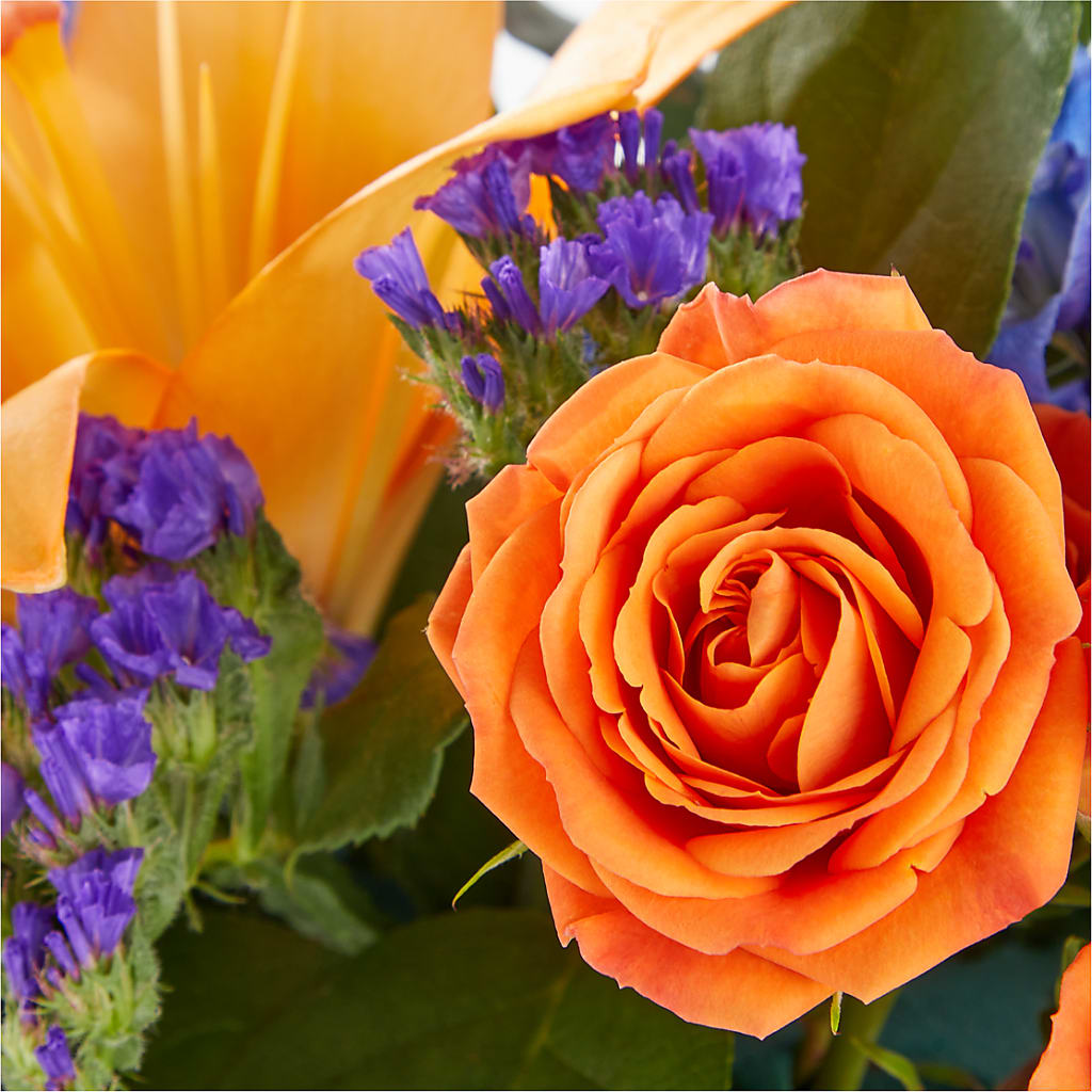 Radiant Citrus Box Bouquet – SWAN FLORAL & GIFT SHOP INC, Erlanger KY