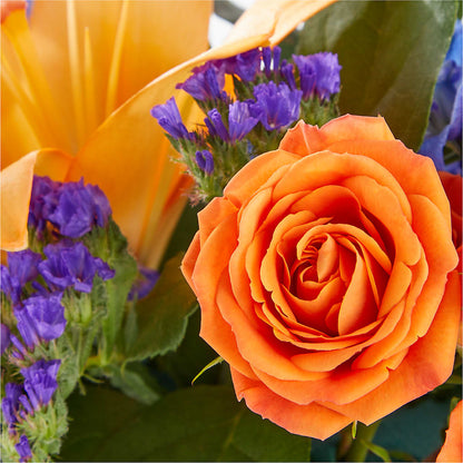 Radiant Citrus Box Bouquet – SWAN FLORAL & GIFT SHOP INC, Erlanger KY
