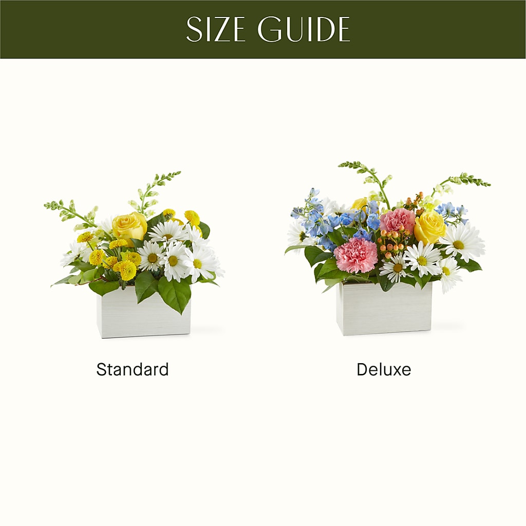 Sun Salutation Box Bouquet – SWAN FLORAL & GIFT SHOP INC, Erlanger KY
