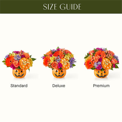 Tricks & Treats Pumpkin – SWAN FLORAL & GIFT SHOP INC, Erlanger KY
